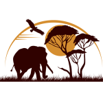 Al Muqit Tours and Travel Ltd